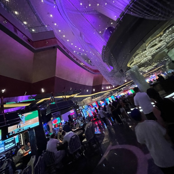 Meet your Posher, Desmond - Picture 1 of 1